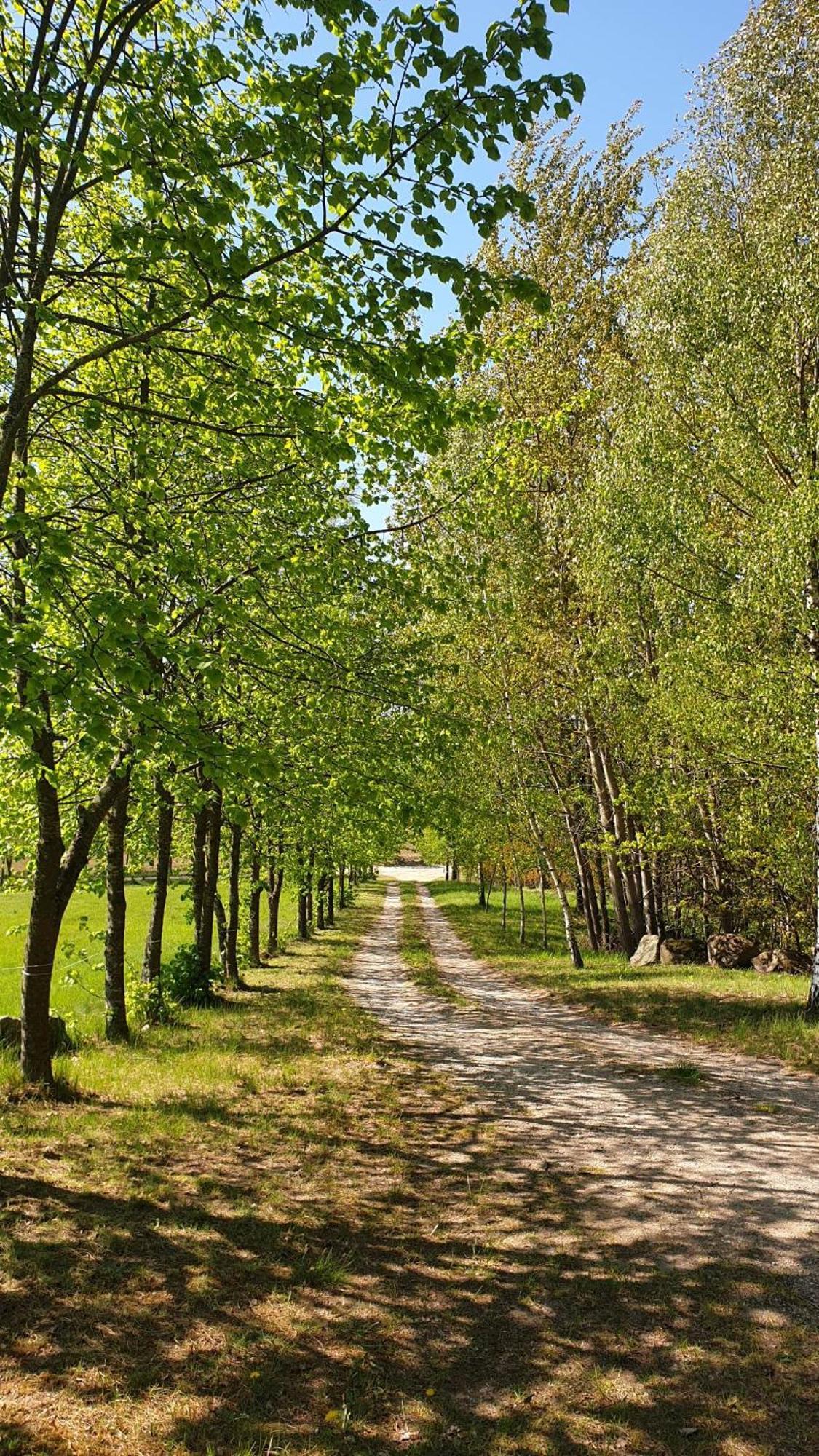 Bed and Breakfast Zabie Oko Круклянки Экстерьер фото